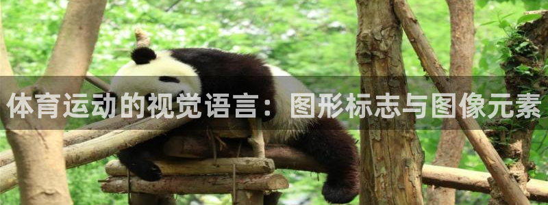 JJB竞技宝官方正版app集团简介:体育运动的视觉语言:图形