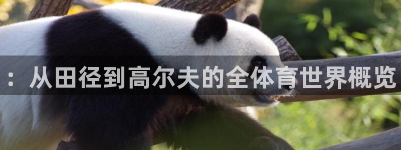 JJB竞技宝官方正版app娱乐网站::从田径到高尔夫的全体育