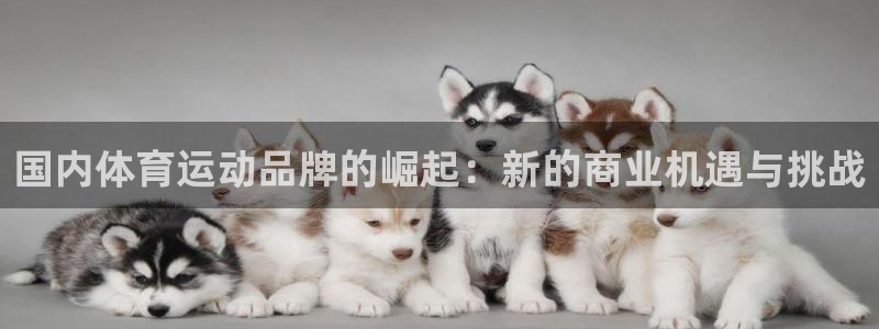 JJB竞技宝官方正版app集团E.ON:国内体育运动品牌的崛