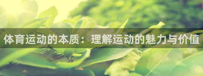 JJB竞技宝官网下载招商电话是多少号码:体育运动的本质:理解